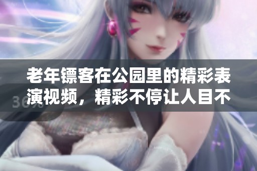 老年镖客在公园里的精彩表演视频，精彩不停让人目不转睛