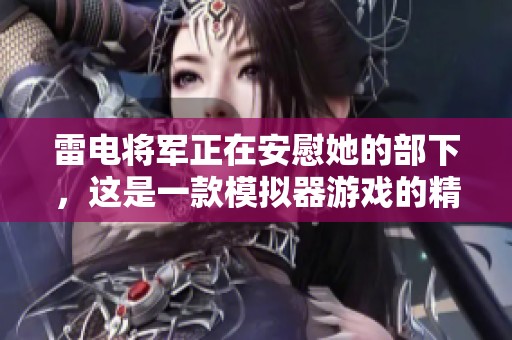 雷电将军正在安慰她的部下，这是一款模拟器游戏的精彩玩法
