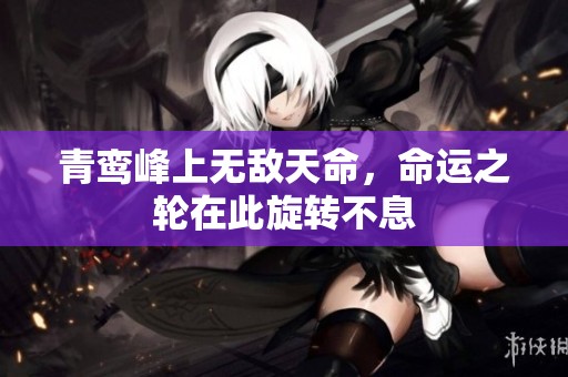 青鸾峰上无敌天命，命运之轮在此旋转不息