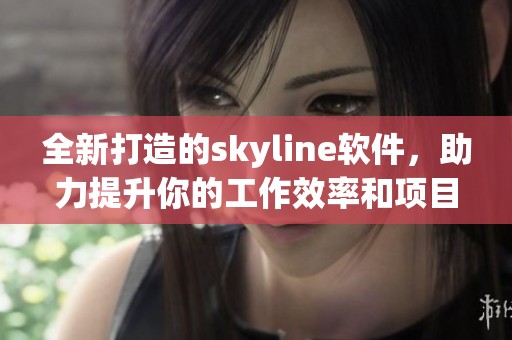 全新打造的skyline软件，助力提升你的工作效率和项目管理能力