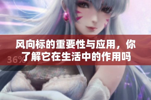 风向标的重要性与应用，你了解它在生活中的作用吗