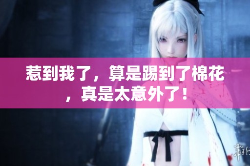 惹到我了，算是踢到了棉花，真是太意外了！