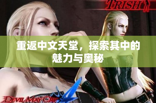 重返中文天堂，探索其中的魅力与奥秘